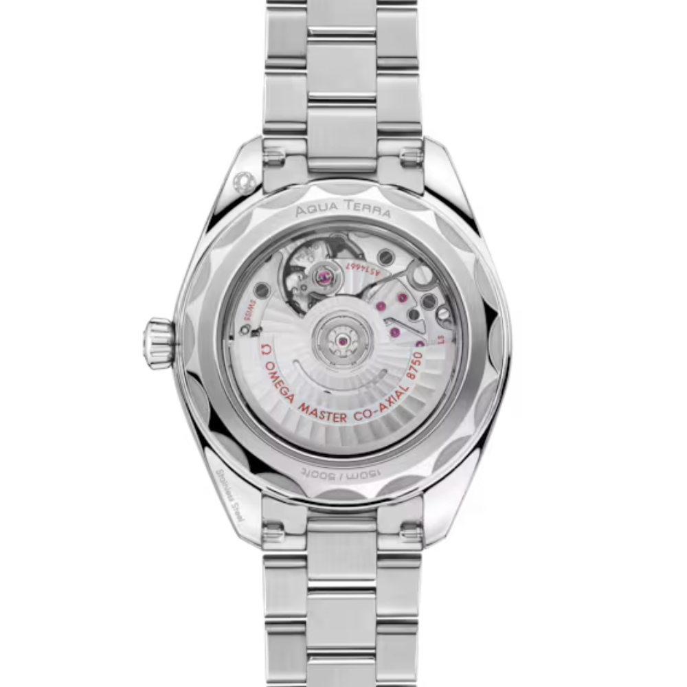 Seamaster Aqua Terra 150M 30 mm, steel on steel Ref. 220.10.30.20.10.002 - Image 2